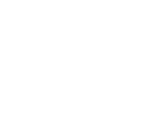 Logo_RINA_blanco
